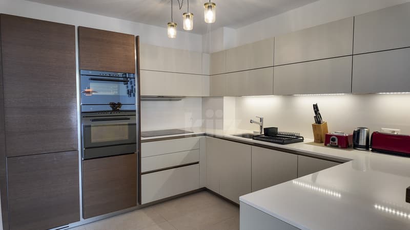 Magnificent apartment with large balcony (4)