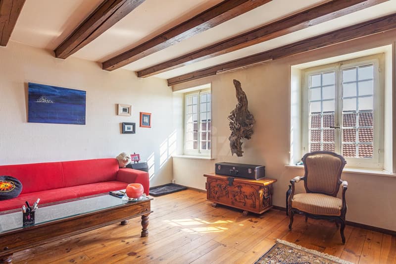 Very beautiful apartment with charm (2)