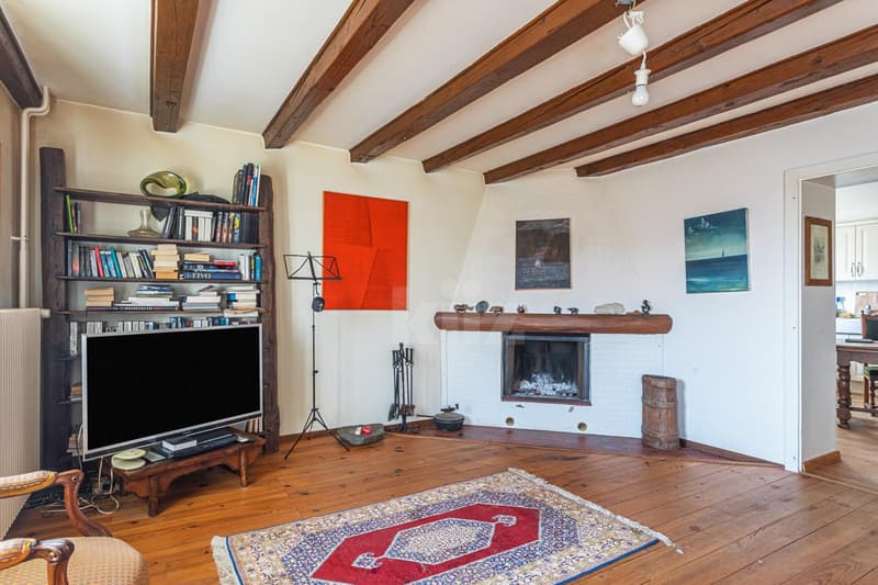 Very beautiful apartment with charm (3)
