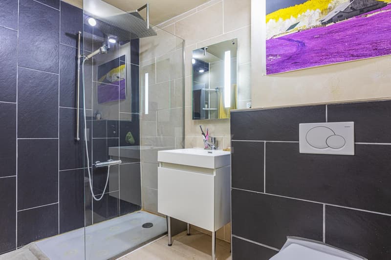 Very beautiful apartment with charm (10)