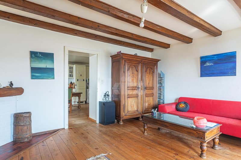 Very beautiful apartment with charm (4)