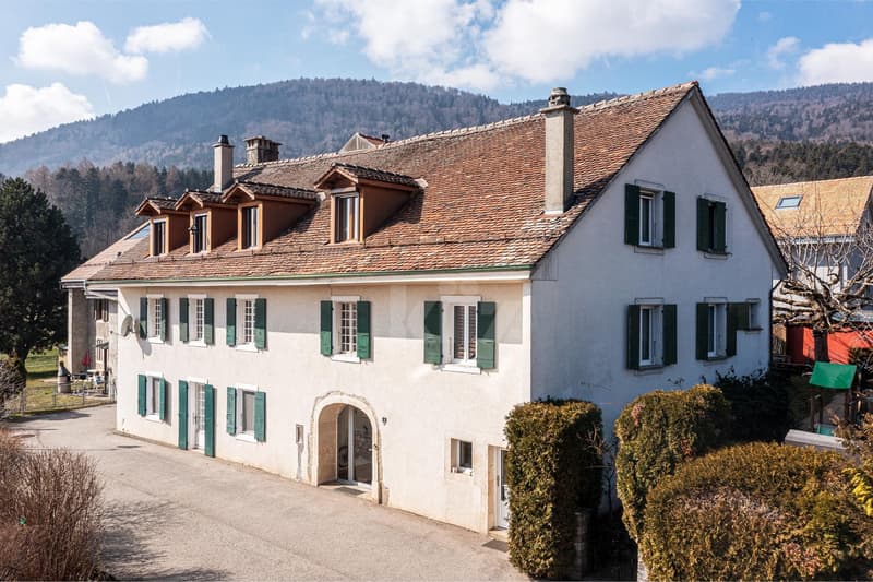 Very beautiful apartment with charm (11)