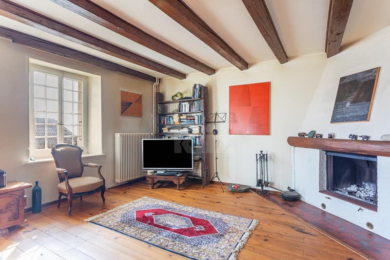Very beautiful apartment with charm (1)