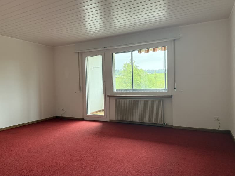 Charming, bright apartment with large loggia (8)
