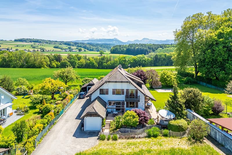 Charming house with garden and three terraces (1)