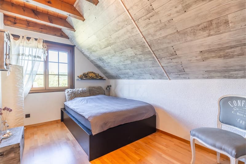 Charming house with garden and three terraces (8)