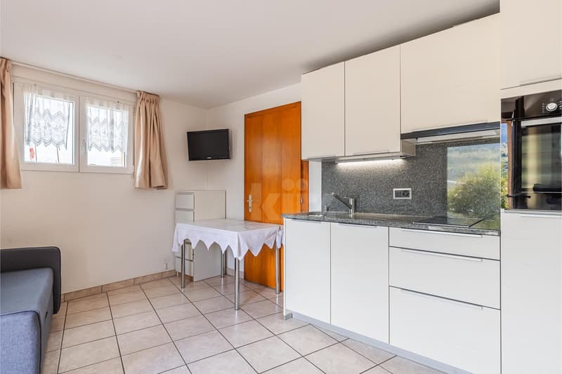 Beautiful family villa with garden and independent studio (11)