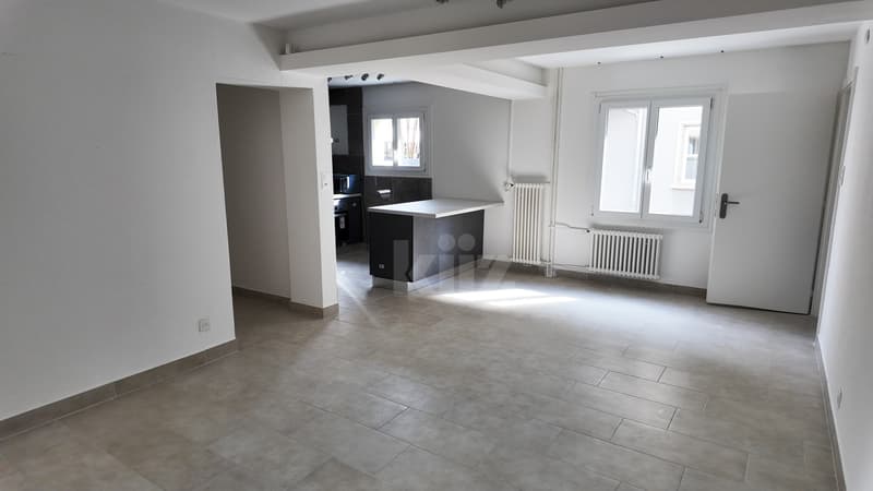Appartamento completamente ristrutturato con terrazza e giardino (4)