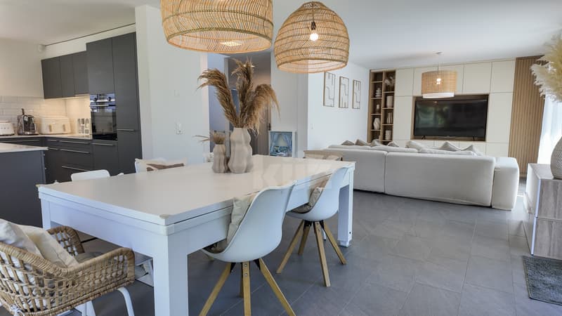 Beautiful modern house in a privileged living area (5)