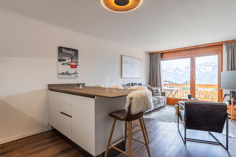 Ski In & Out: Renovated Apartment with Balconies (3)