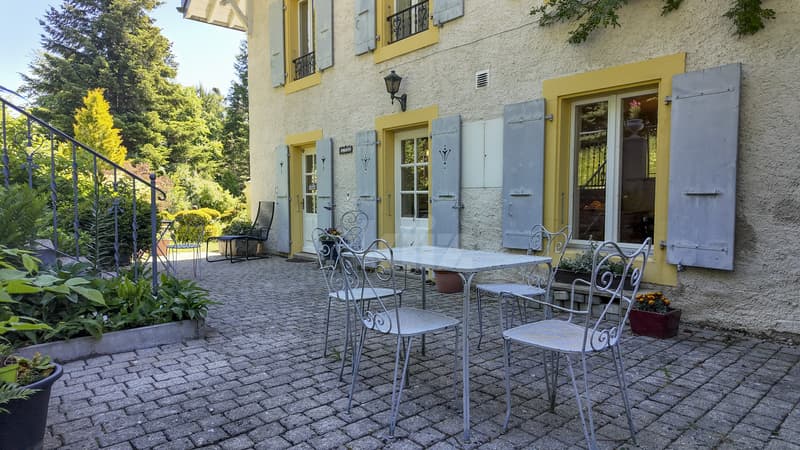 Proprietà magnifica in un'oasi di verde (11)