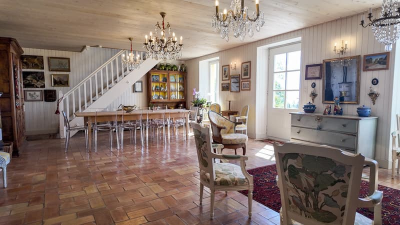 Proprietà magnifica in un'oasi di verde (3)
