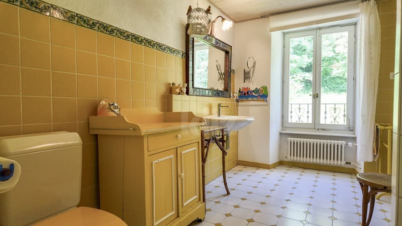 Proprietà magnifica in un'oasi di verde (9)