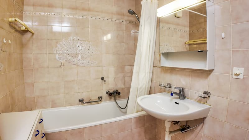 Charming apartment with balcony close to the Lake (11)