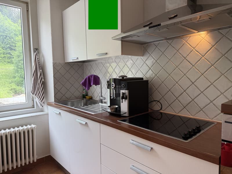 Beautiful apartment with balcony (6)