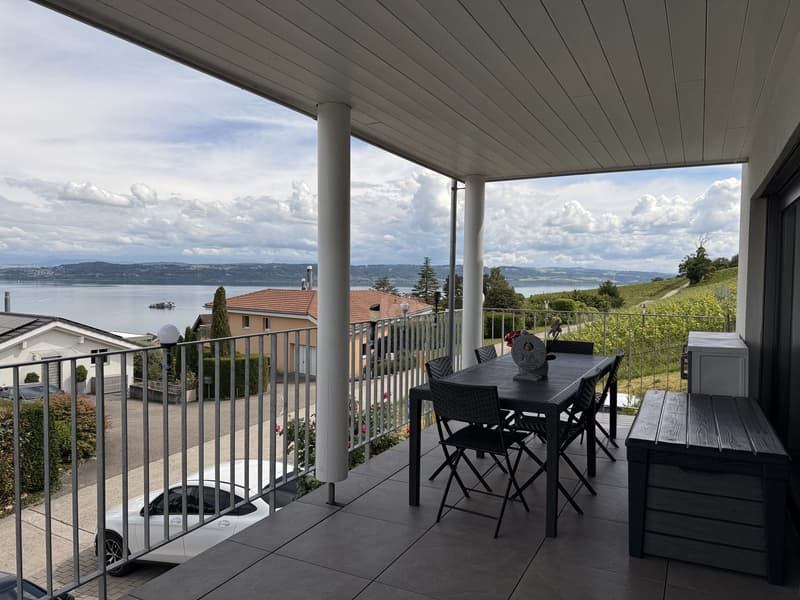 Recent house with three apartments and lake view (3)