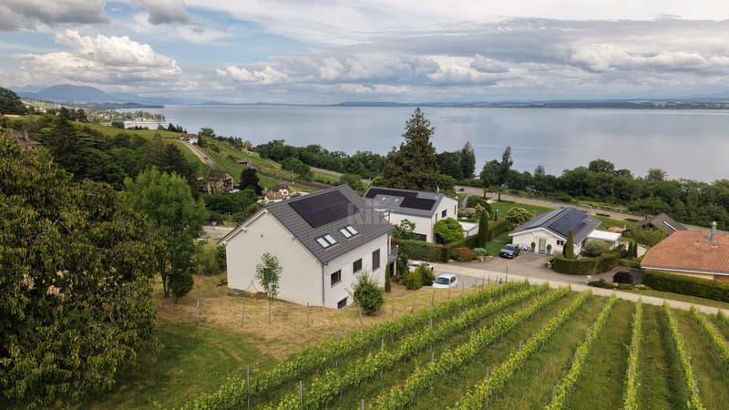 Recent house with three apartments and lake view (2)
