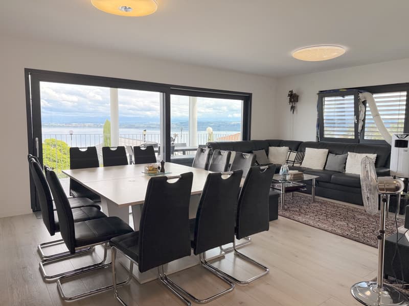 Recent house with three apartments and lake view (4)
