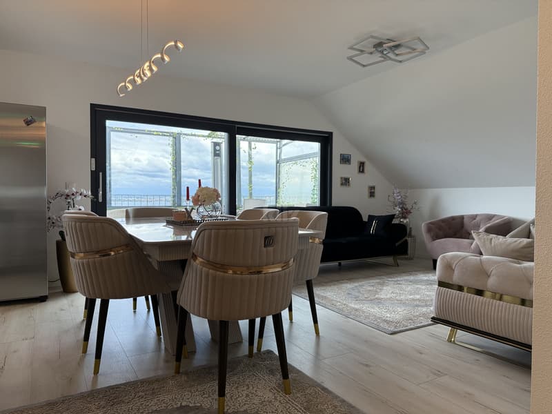 Recent house with three apartments and lake view (8)