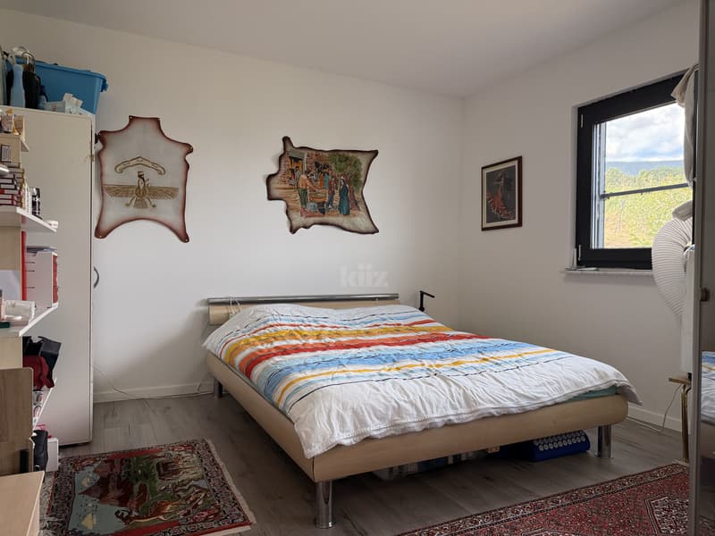 Recent house with three apartments and lake view (6)