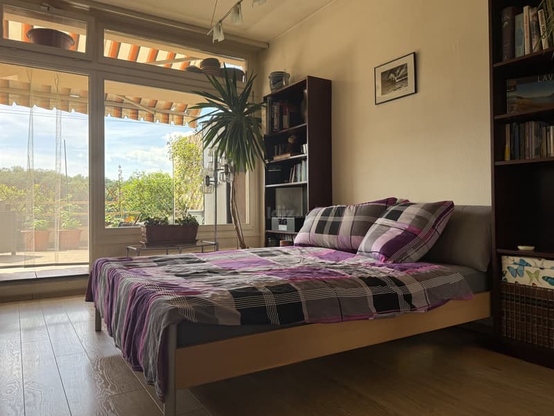 Charming studio with large terrace and unobstructed view (3)
