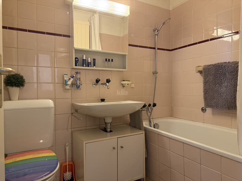 Charming studio with large terrace and unobstructed view (9)