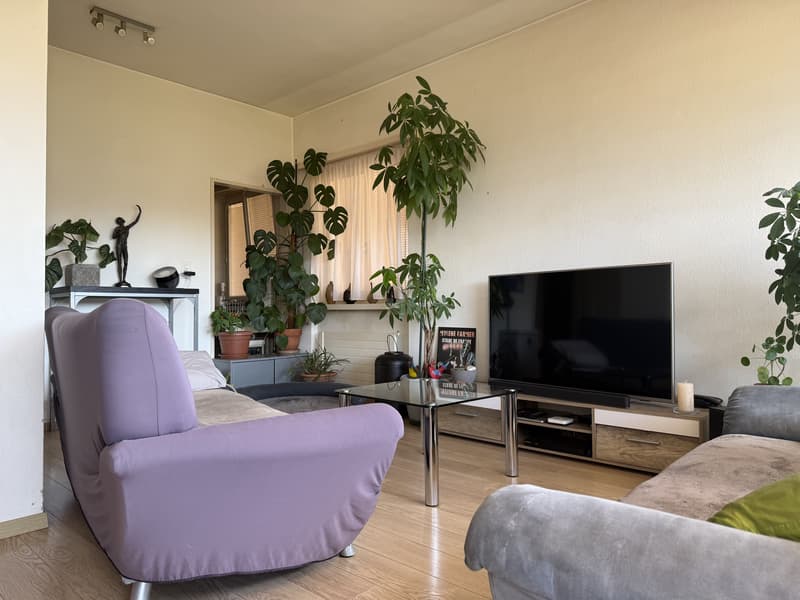 Charming studio with large terrace and unobstructed view (2)