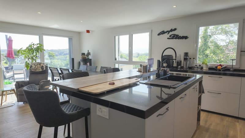 Magnifique appartement avec grande terrasse et vue dégagée (2)