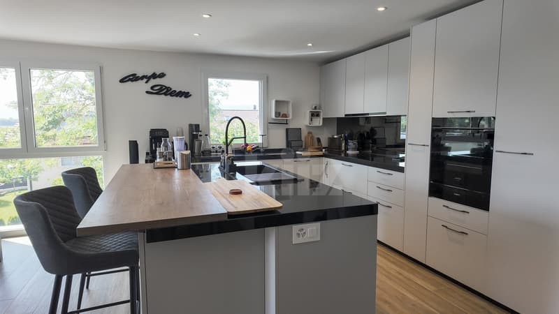 Magnifique appartement avec grande terrasse et vue dégagée (3)