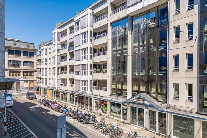 Bello appartamento ristrutturato con balcone nel centro di Ginevra (12)