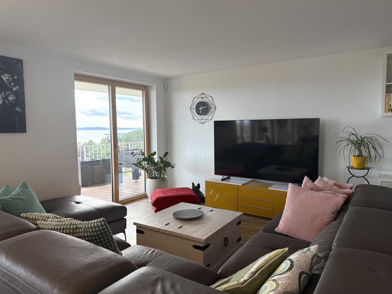Superbo appartamento con vista panoramica sul lago (4)