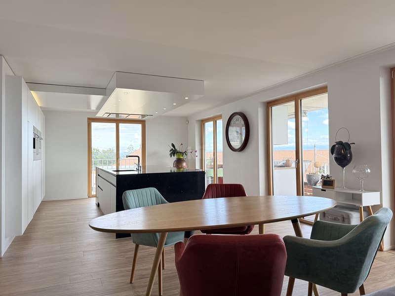 Beautiful apartment with panoramic view of the lake (2)