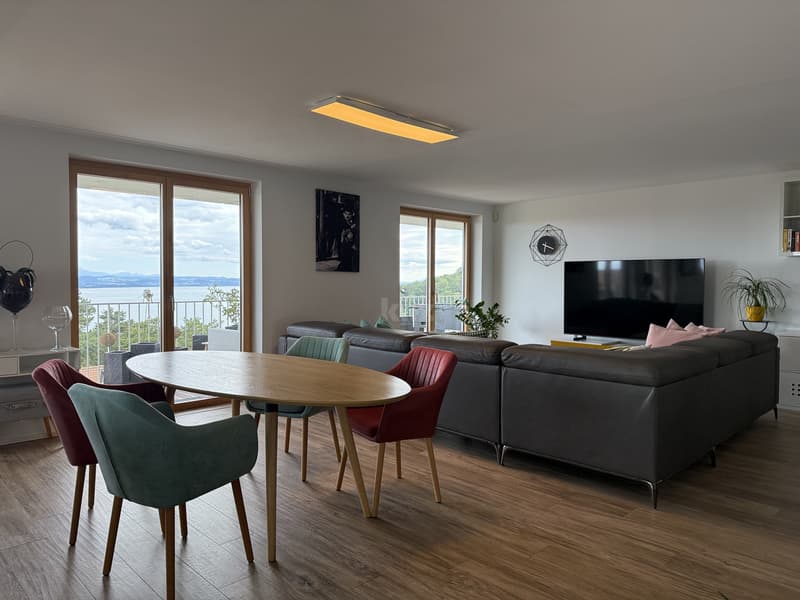 Beautiful apartment with panoramic view of the lake (4)