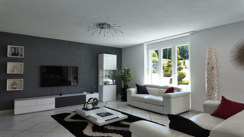 Beautiful villa with pool in a quiet environment (4)