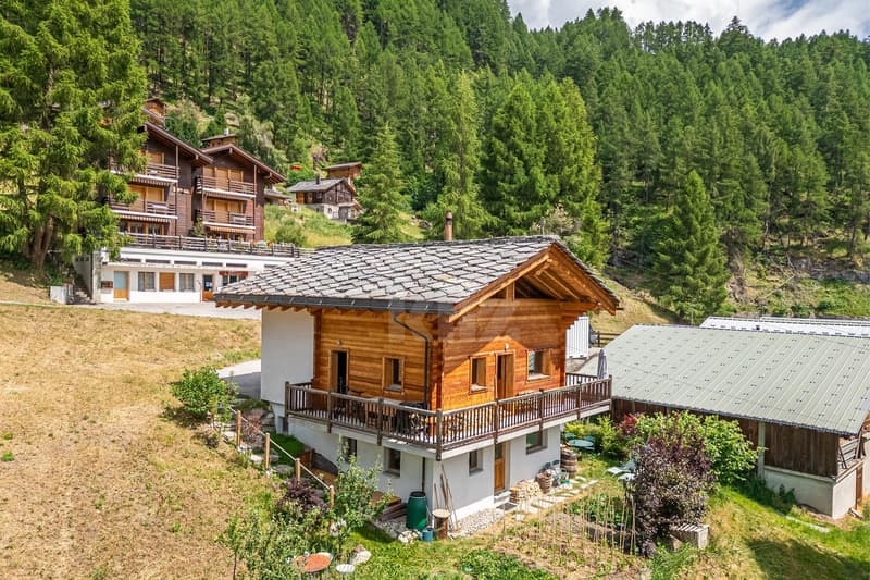 Magnificent chalet with breathtaking views of the Alps (1)