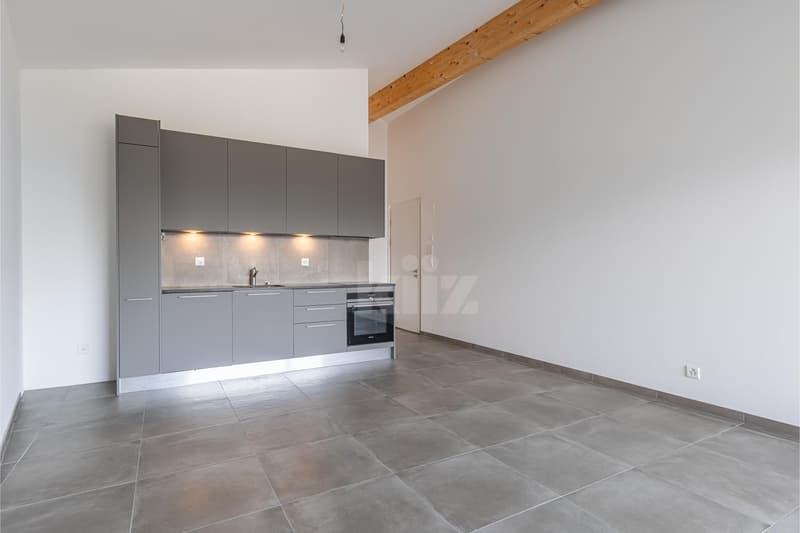 Superbes Wohnungen im contemporary Stil mit zwei Balkonen (5)