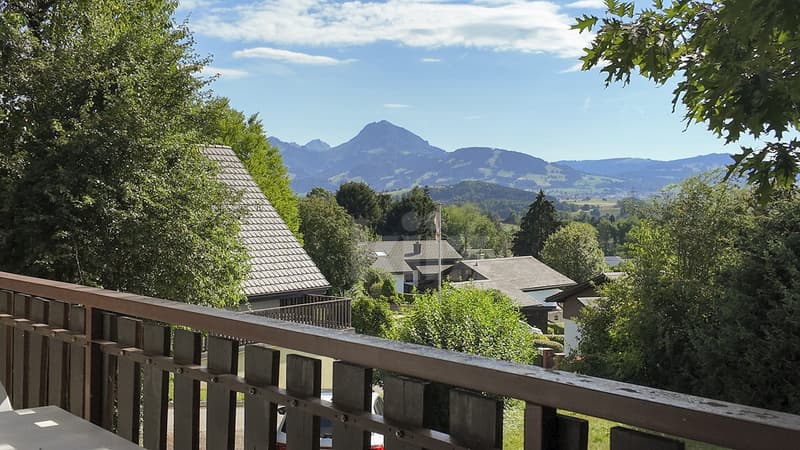 Charming individual house with balcony and large garden (12)