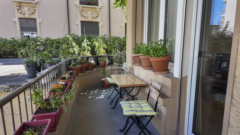 Beautiful ground floor apartment with balcony (7)
