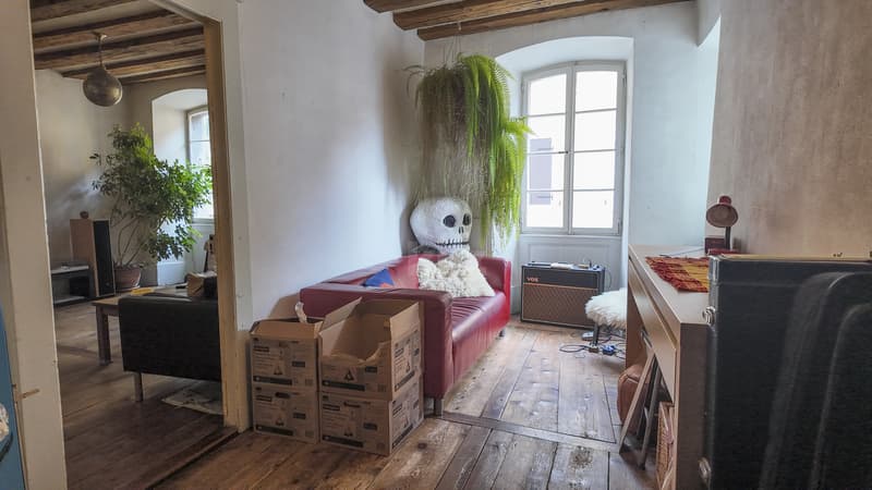 Pour investisseurs! 3 appartements et 1 local commercial (4)