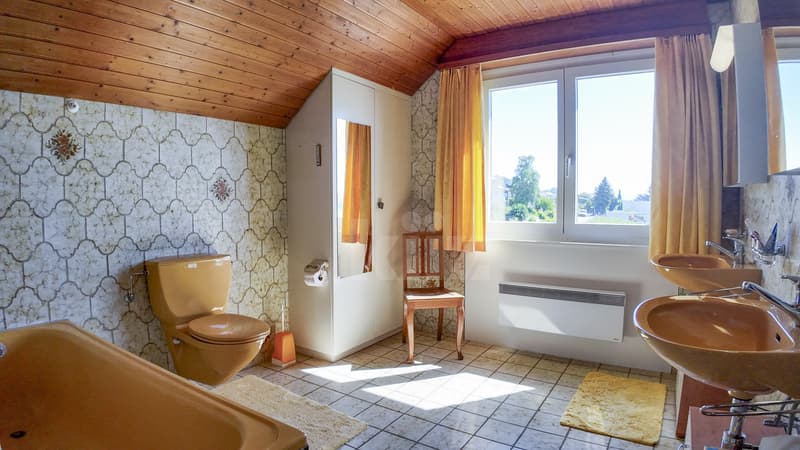 Bella villa curata con vista sul lago e le montagne (10)