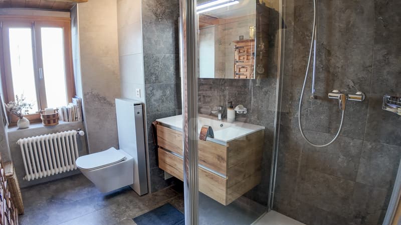 Prächtiges renoviertes Dorfhaus mit eigenem Studio (8)