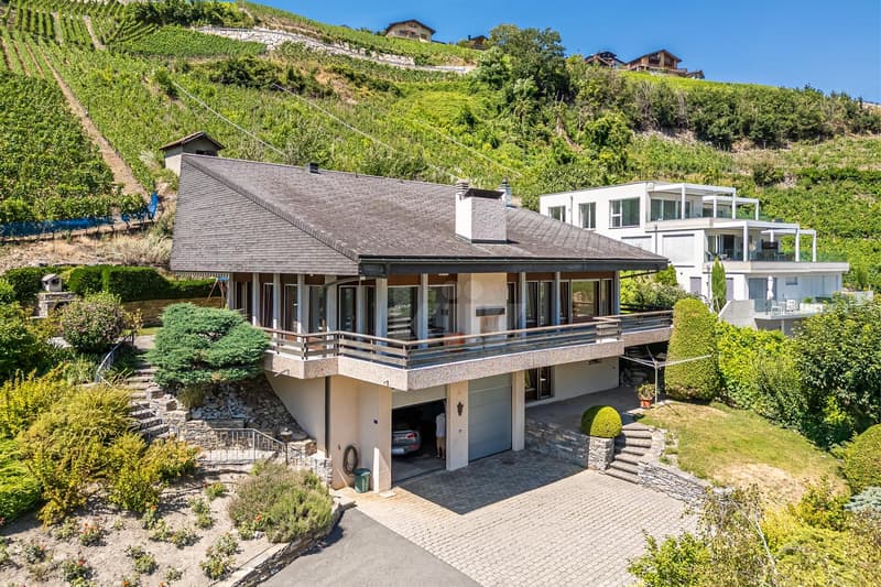 Magnificent individual villa with independent studio (12)