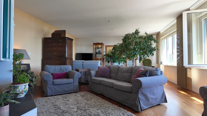 Appartamento con terrazza di 96m2, balconi e vista sul lago (5)