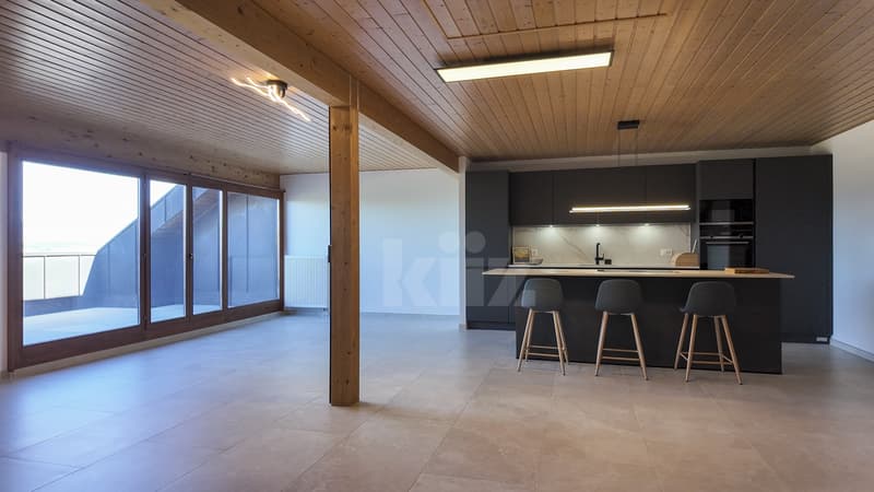 Bel duplex ristrutturato con giardino privato (1)