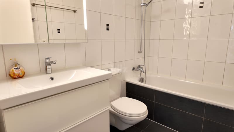 Schönes renoviertes Apartment mitten in der Natur (10)