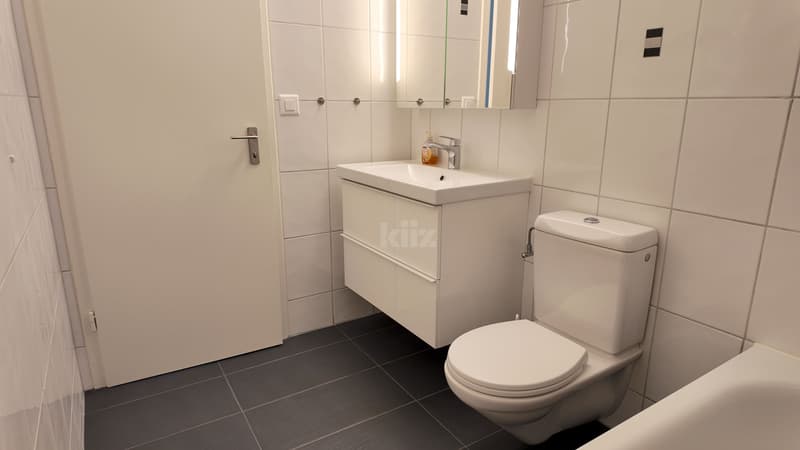 Schönes renoviertes Apartment mitten in der Natur (11)