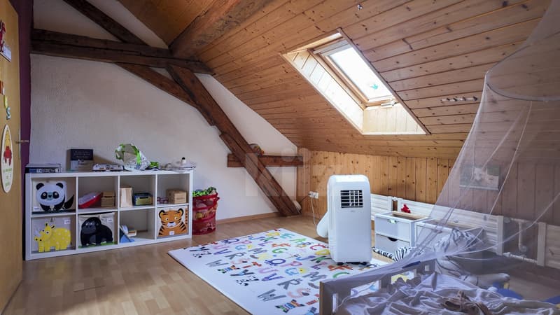 Charming village house with two apartments (10)