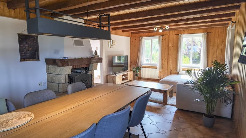 Charming village house with two apartments (2)