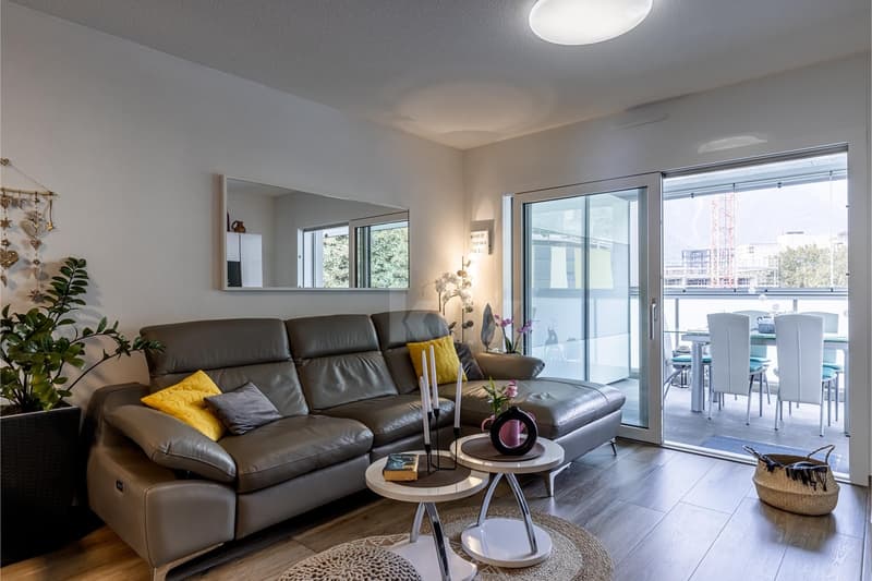 Beautiful modern apartment with balcony (1)