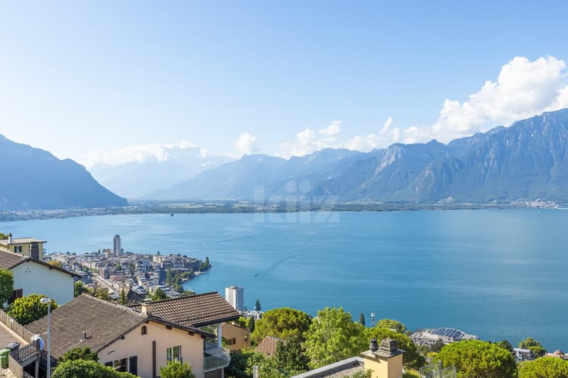 Magnifique appartement avec vue panoramique sur le lac (3)